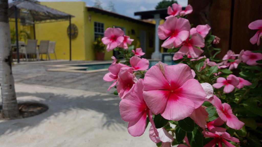 Solar Villa Oranjestad Buitenkant foto